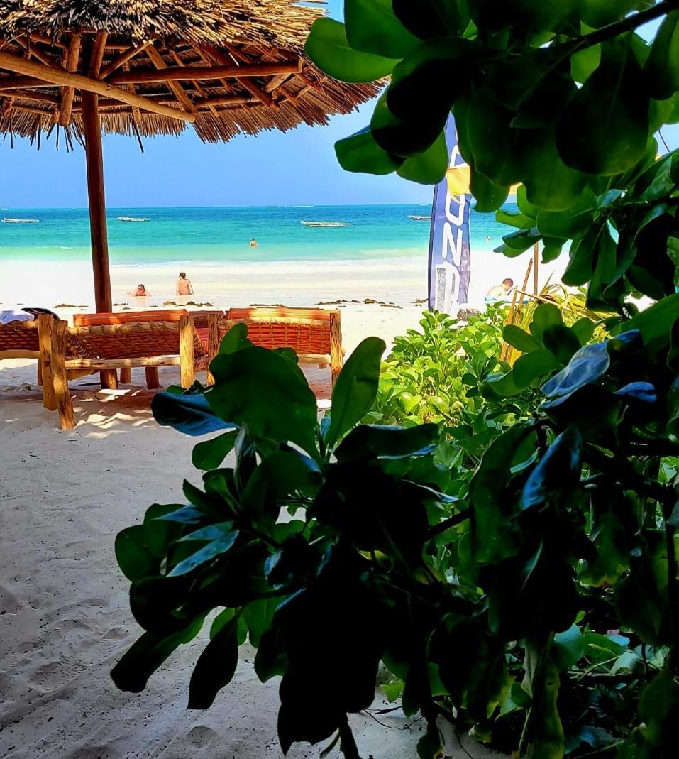 Sipano Beach Lodge Kiwengwa Kiwengwa  Extérieur photo