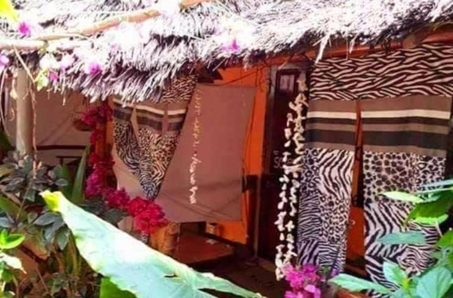 Sipano Beach Lodge Kiwengwa Kiwengwa  Extérieur photo
